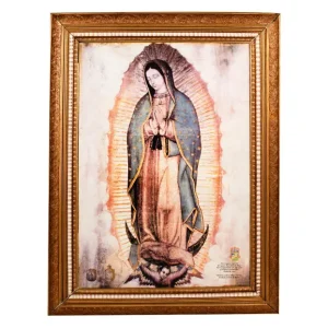 Imagen Virgen Guadalupe