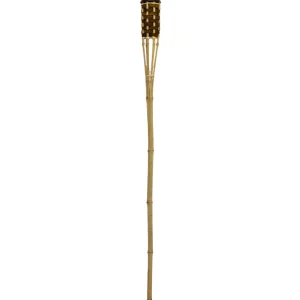 Antorcha